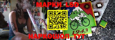 бошки Шебекино