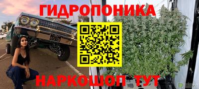 твердый Шелехов