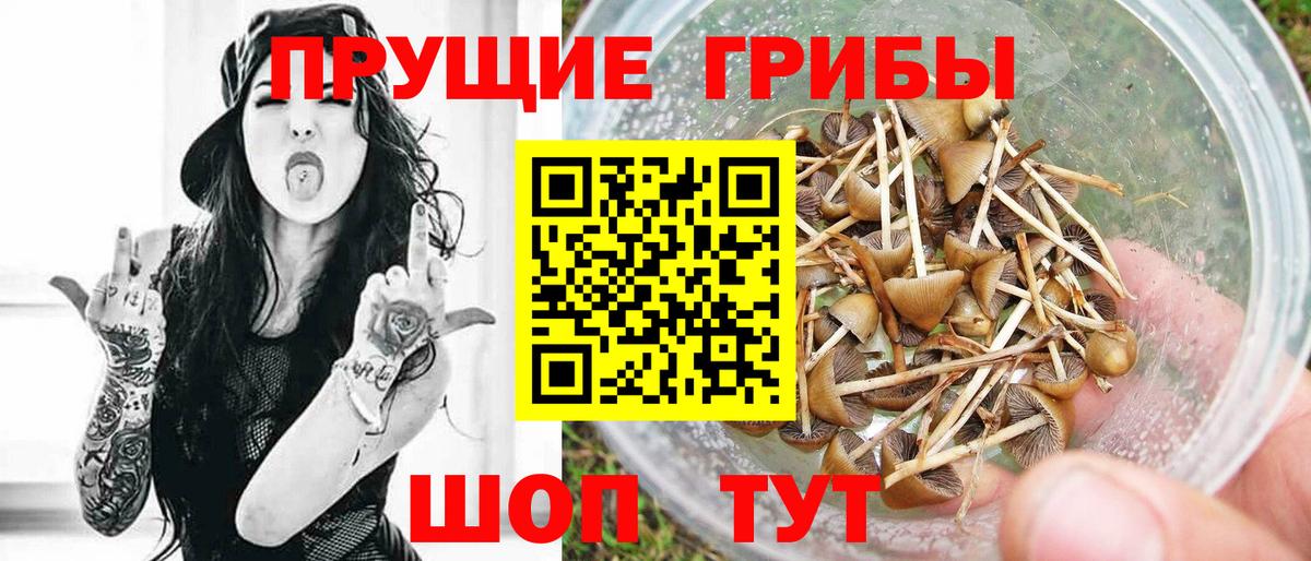 Псилоцибиновые грибы Cubensis  магазин    Галлюциногенные грибы Cubensis  Скопин  Вход с VPN 